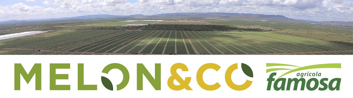 Melon&Co